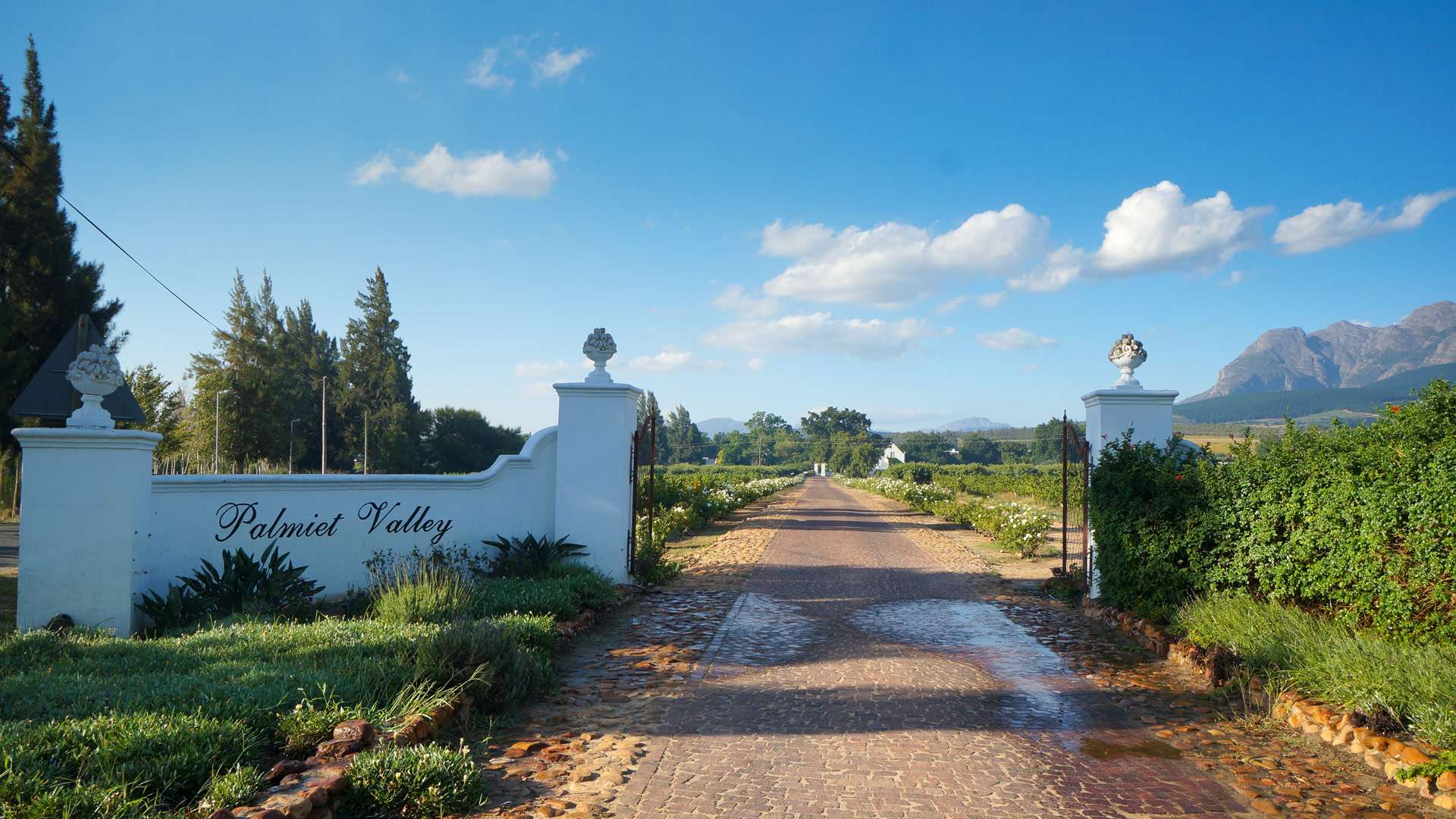 Travel to Paarl