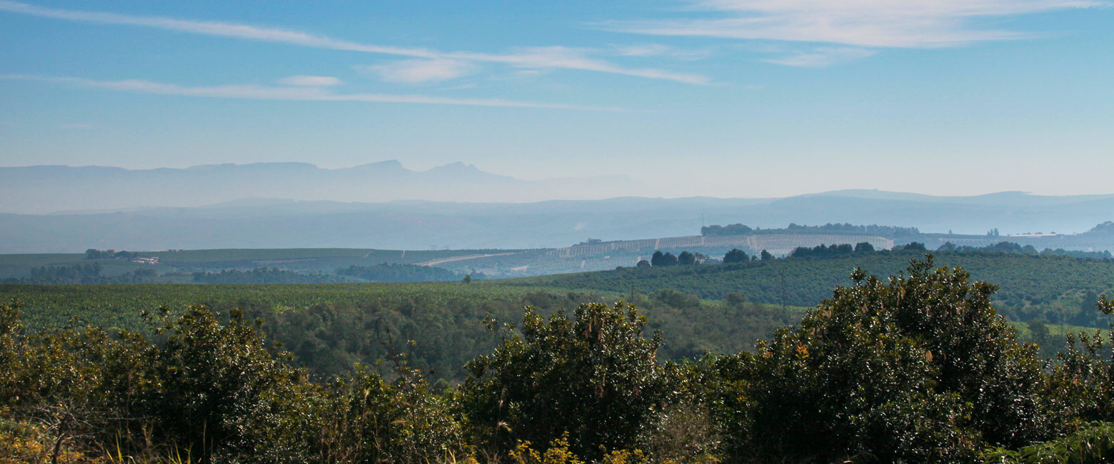 let us know your thoughts about South Africa and we will help you create the perfect trip 