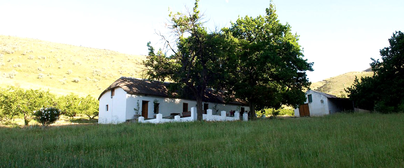 let us know your thoughts about South Africa and we will help you create the perfect safari 