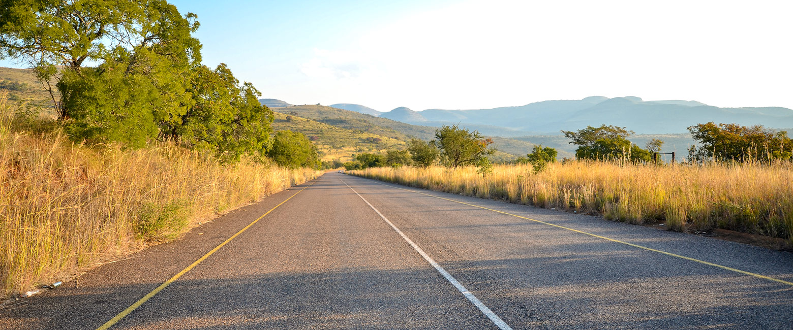 let us know your thoughts about South Africa and we will help you create the perfect safari 