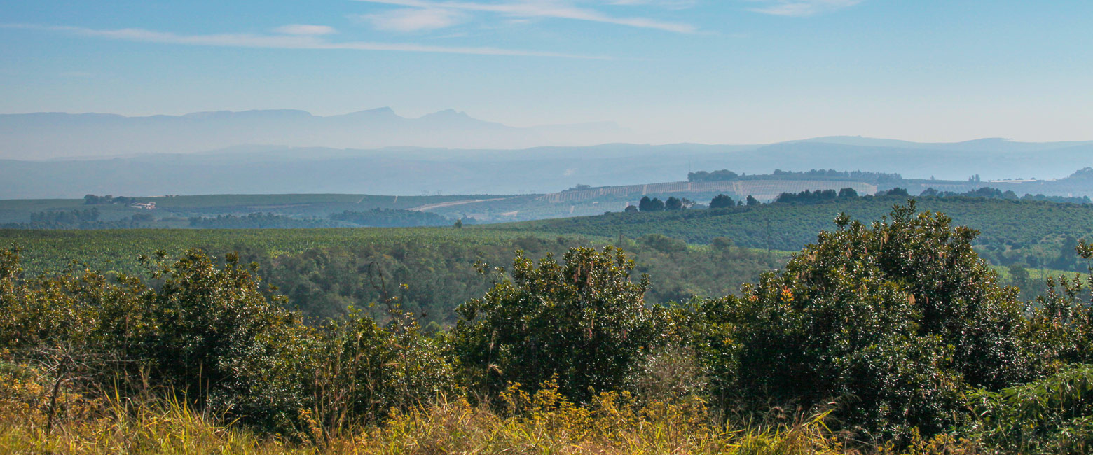 let us know your thoughts about South Africa and we will help you create the perfect safari