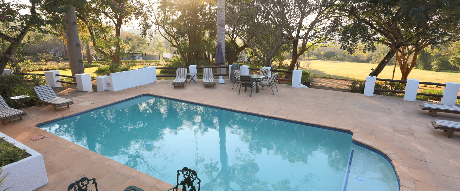 let us know your thoughts about South Africa and we will help you create the perfect safari
