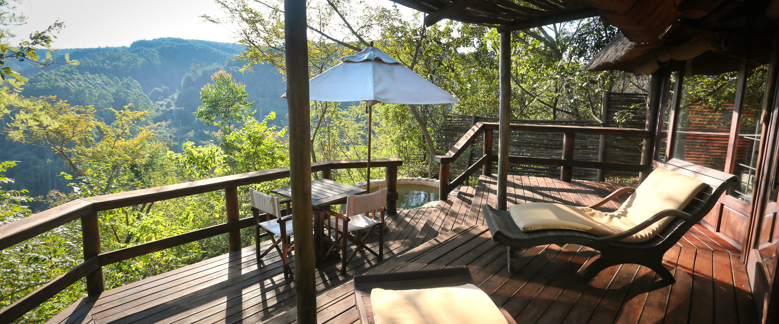 let us know your thoughts about South Africa and we will help you create the perfect safari