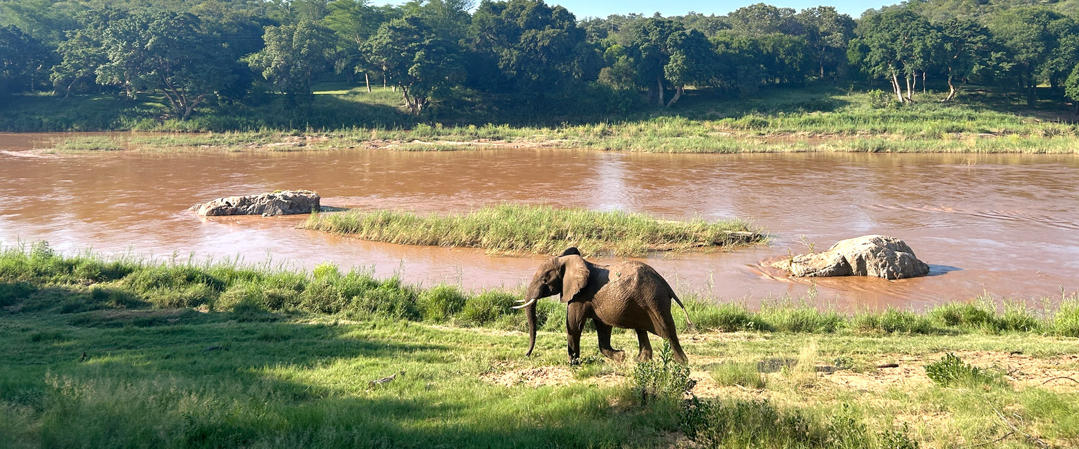 let us know your thoughts about South Africa and we will help you create the perfect safari