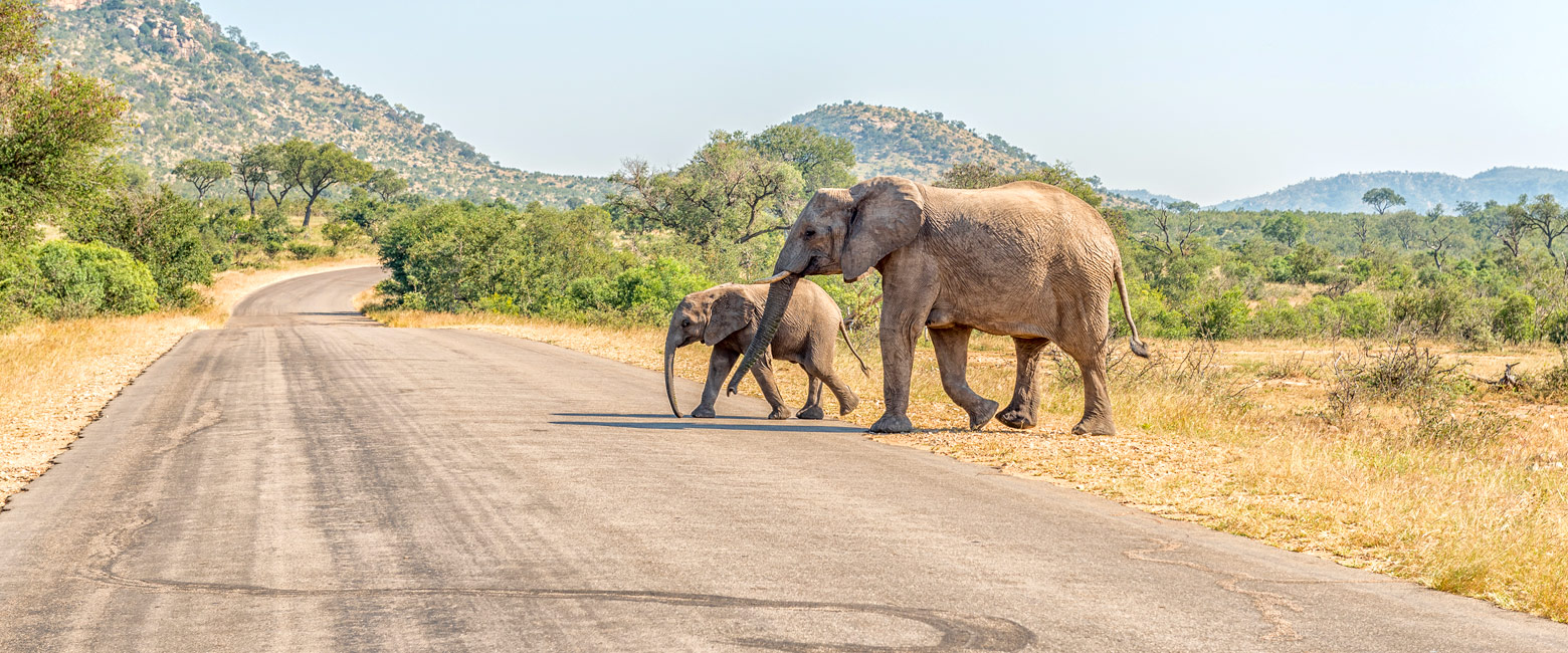 is an area of intense agriculture, south of Kruger 