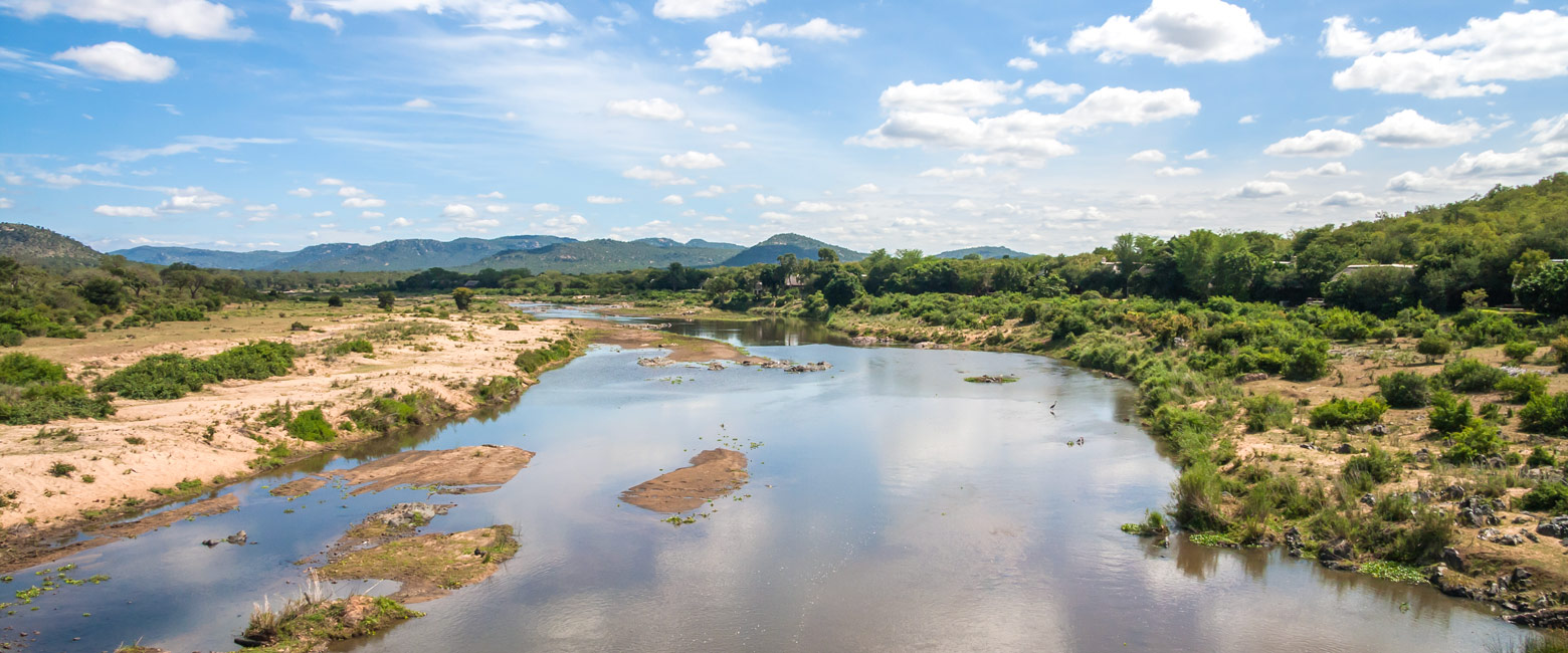 let us know your thoughts about South Africa and we will help you create the perfect safari 