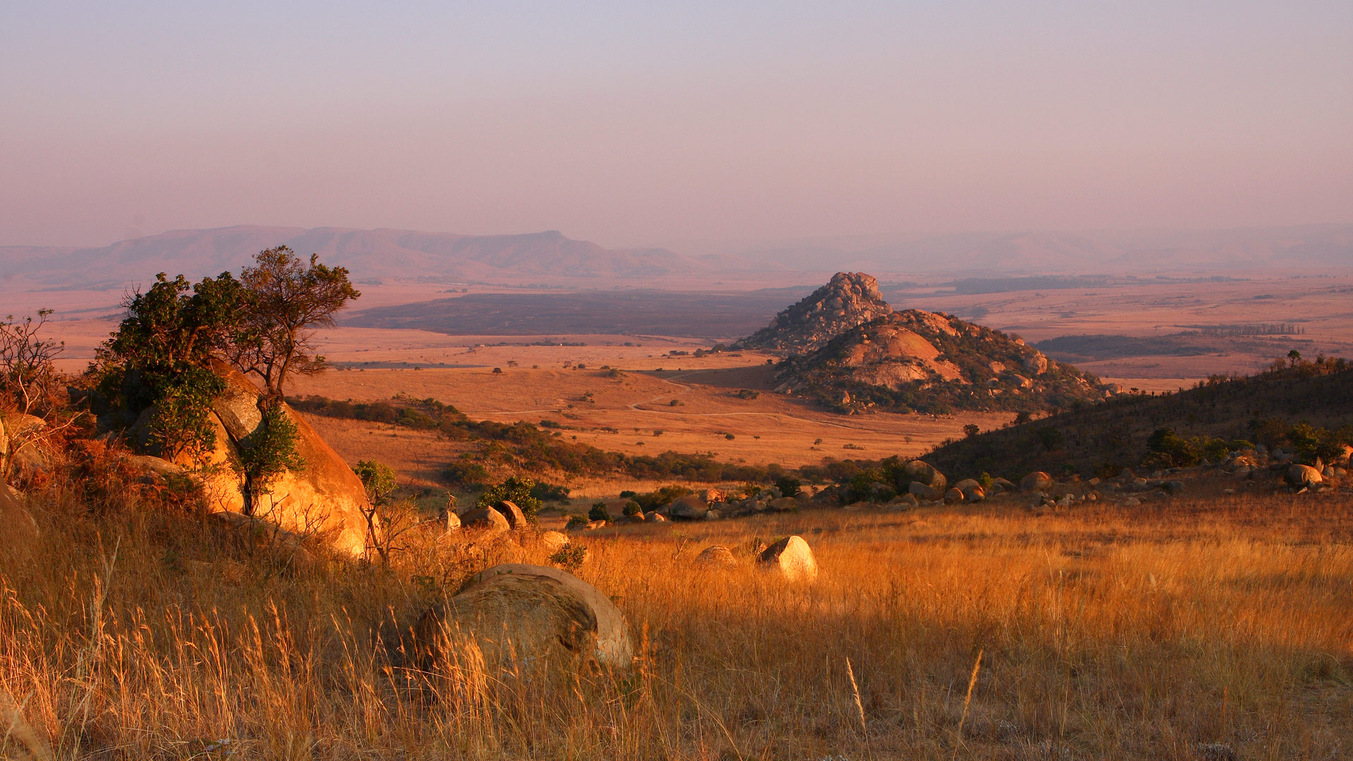Safari to Nkomazi