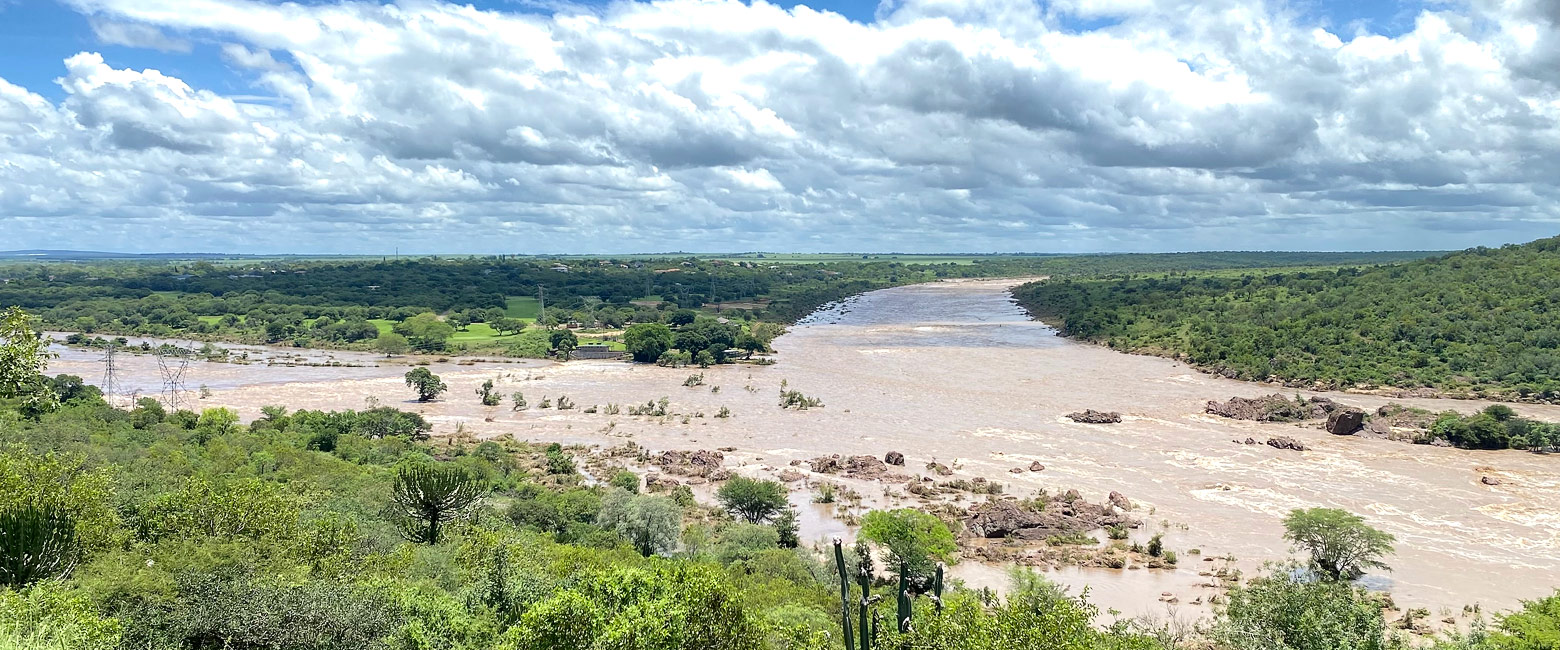 let us know your thoughts about South Africa and we will help you create the perfect safari