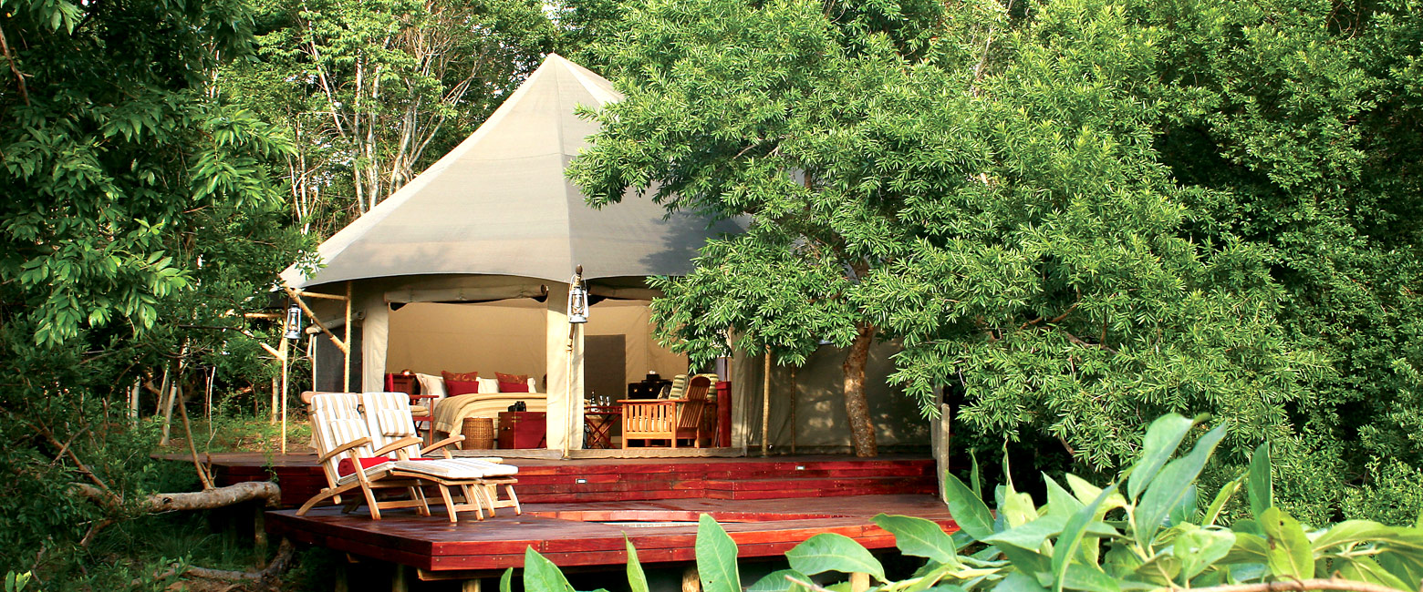let us know your thoughts about South Africa and we will make sure to deliver the perfect safari