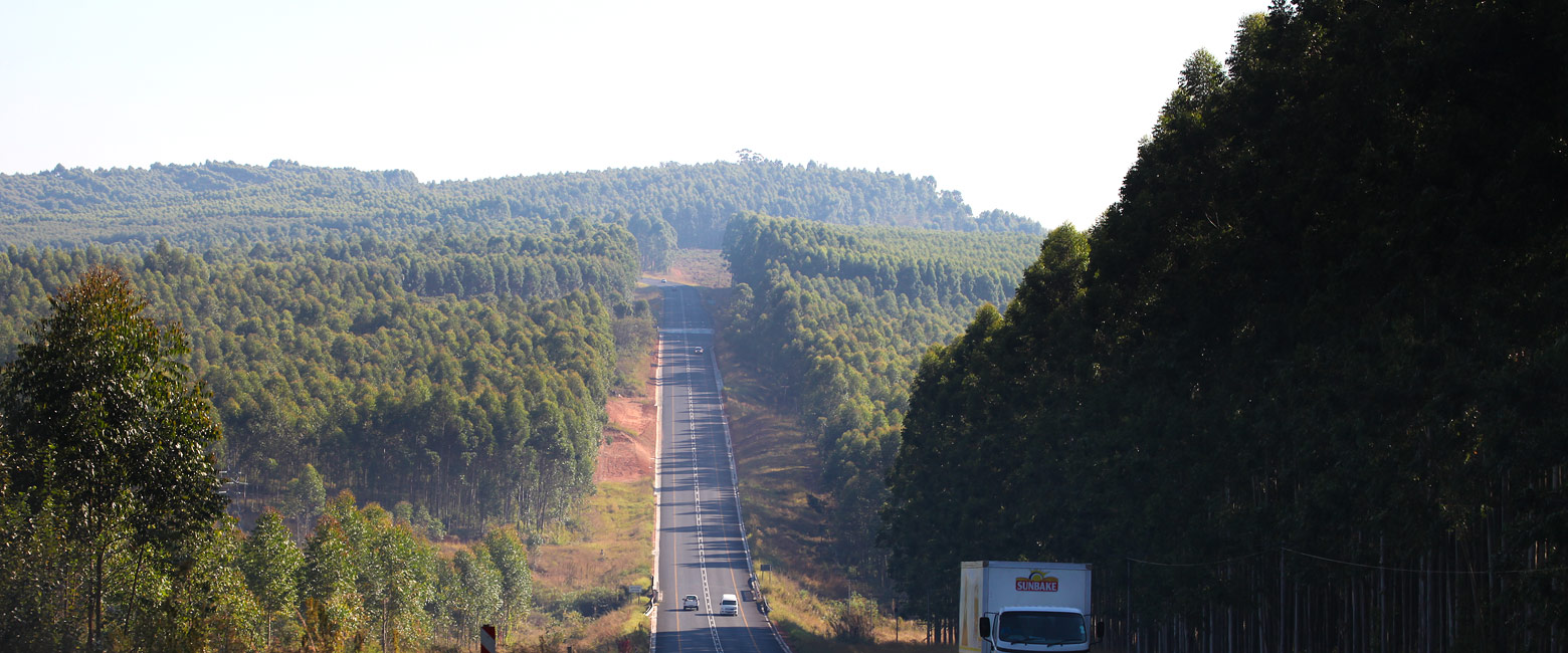 let us know your thoughts about South Africa and we will help you create the perfect safari 