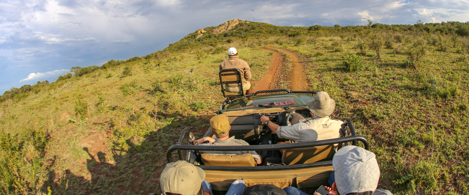 let us know your thoughts about South Africa and we will help to create the perfect safari