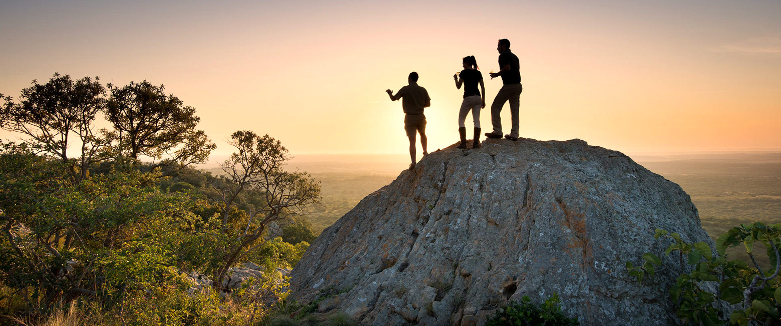 let us know your thoughts about South Africa and we will help you create the perfect safari