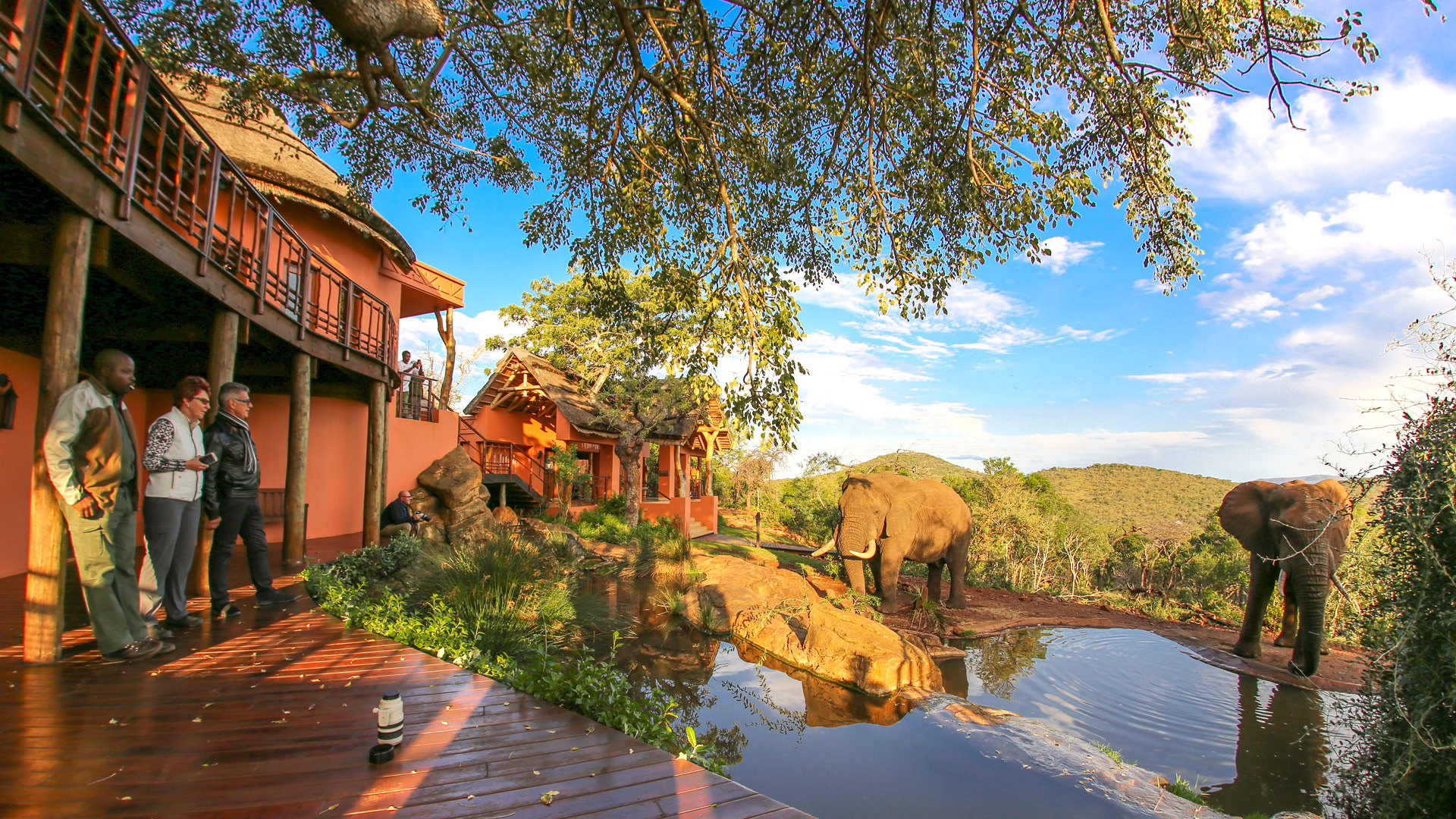 Thanda Safari Lodge