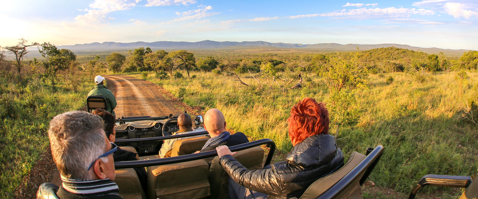let us know your thoughts about South Africa and we will help you create the perfect safari