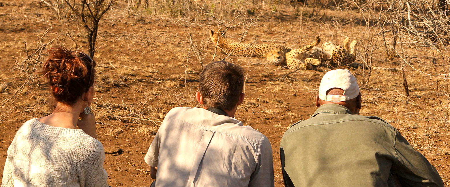 let us know your thoughts about South Africa and we will help you create the perfect safari