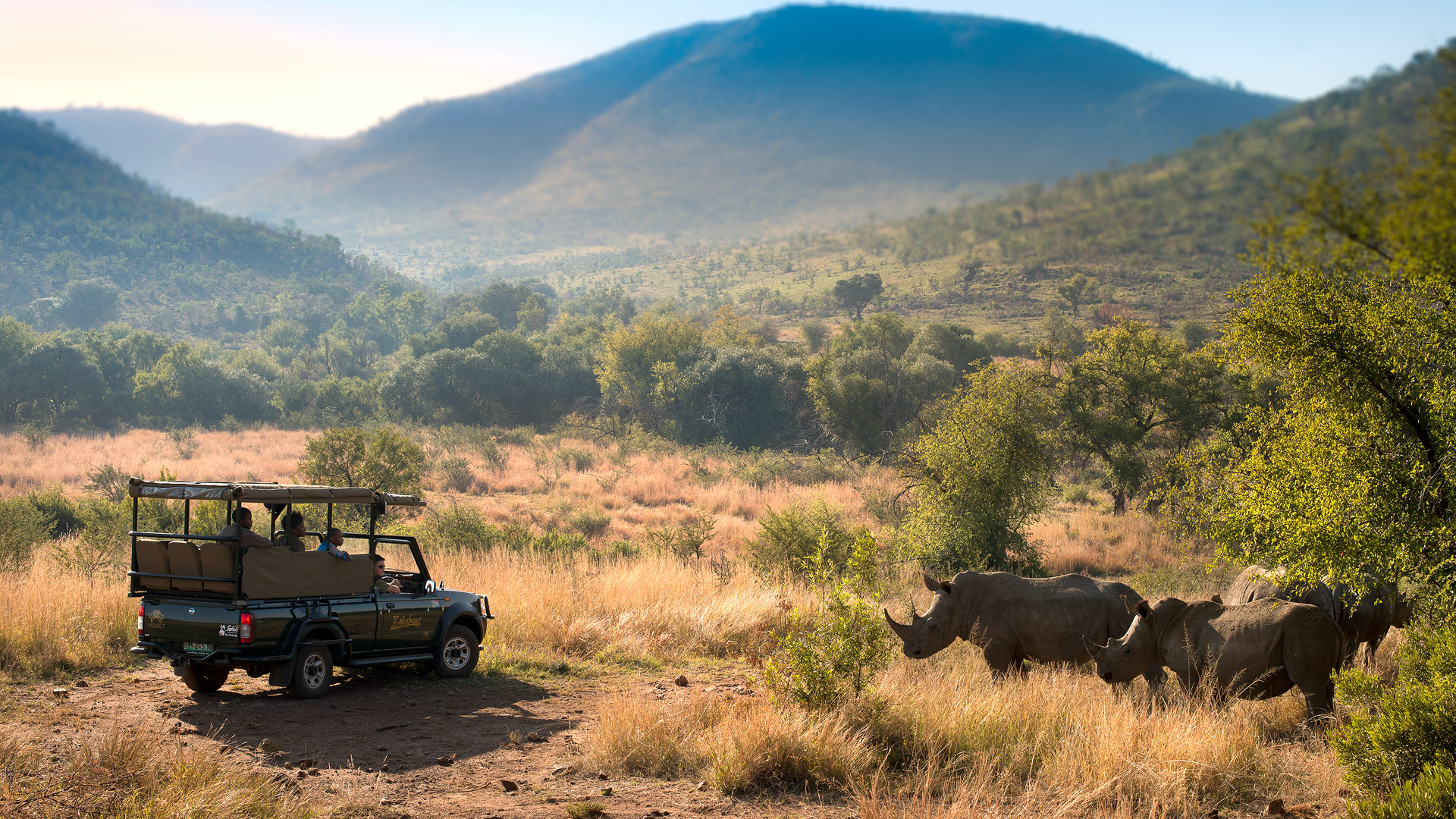 Safari to Pilansberg
