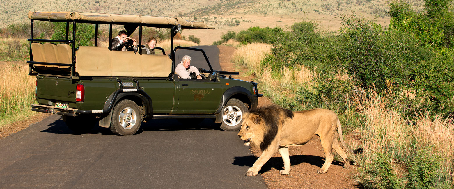 let us know your thoughts about South Africa and we will help you create the perfect safari 
