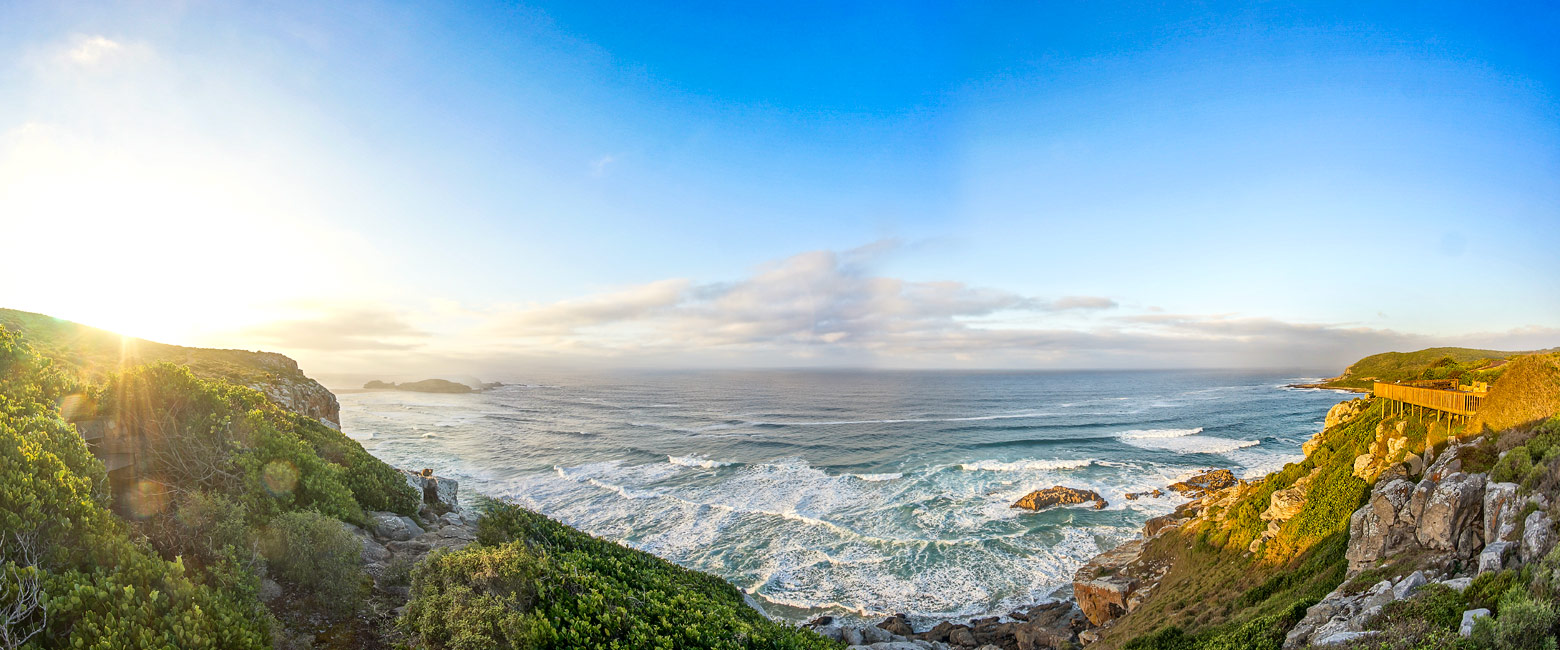 let us know your thoughts about South Africa and we will help you create the perfect safari