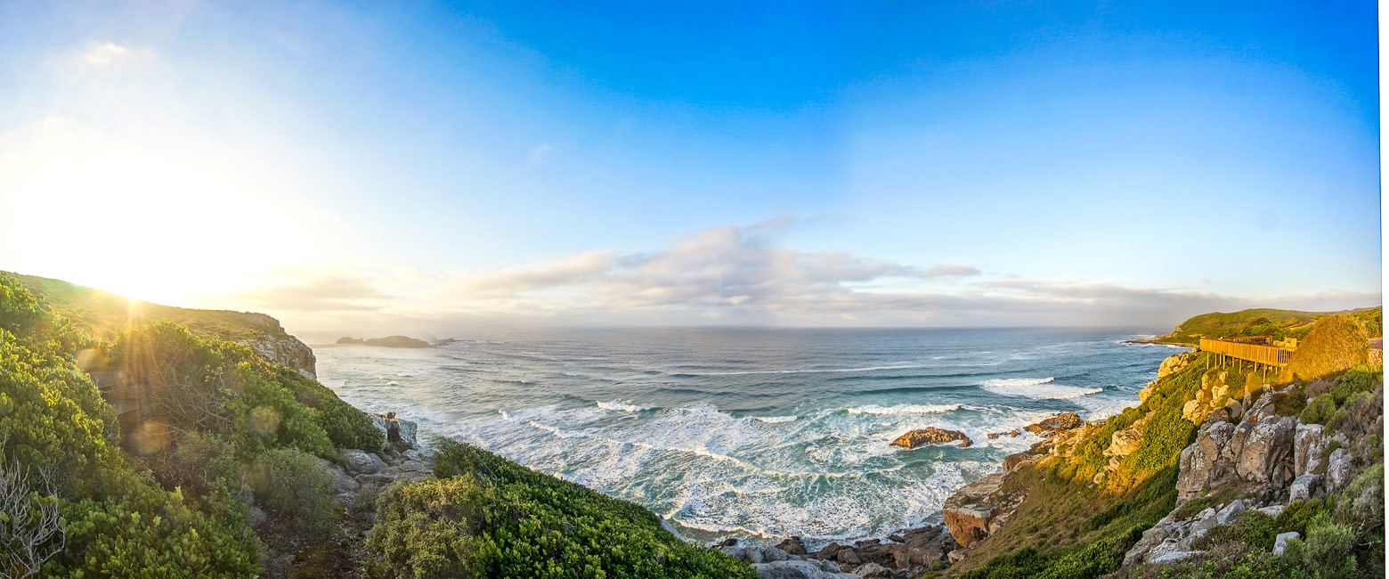 let us know your thoughts about South Africa and we will help you create the perfect safari