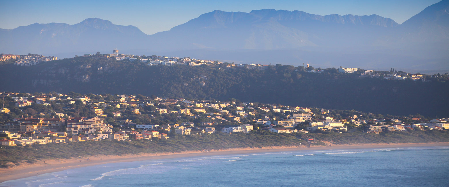 let us know your thoughts about South Africa and we will help you create the perfect safari 