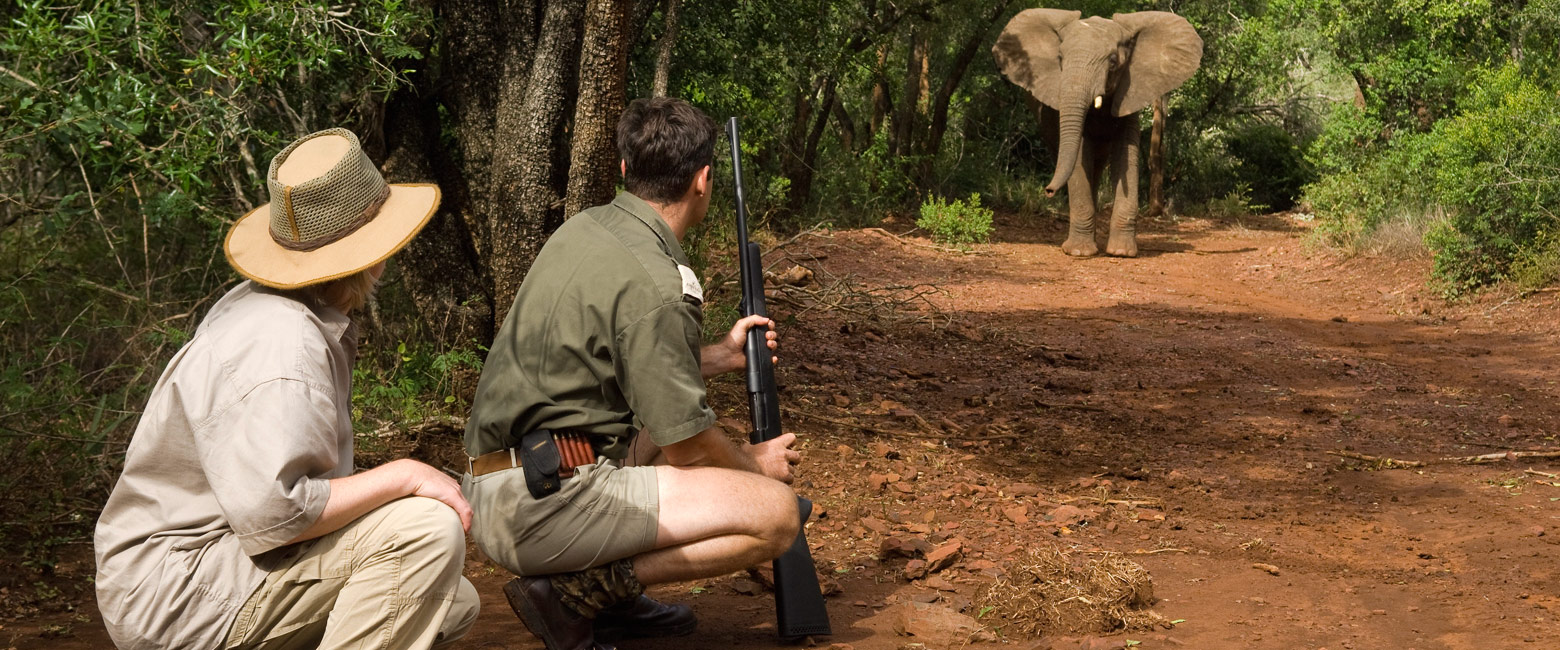 let us know your thoughts about South Africa and we will help you create the perfect safari 