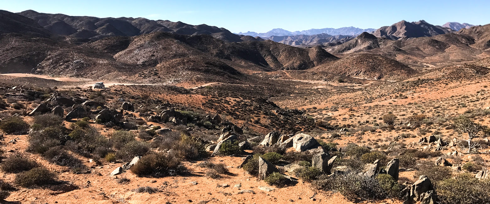 let us know your thoughts about South Africa and we will help you create the perfect safari 