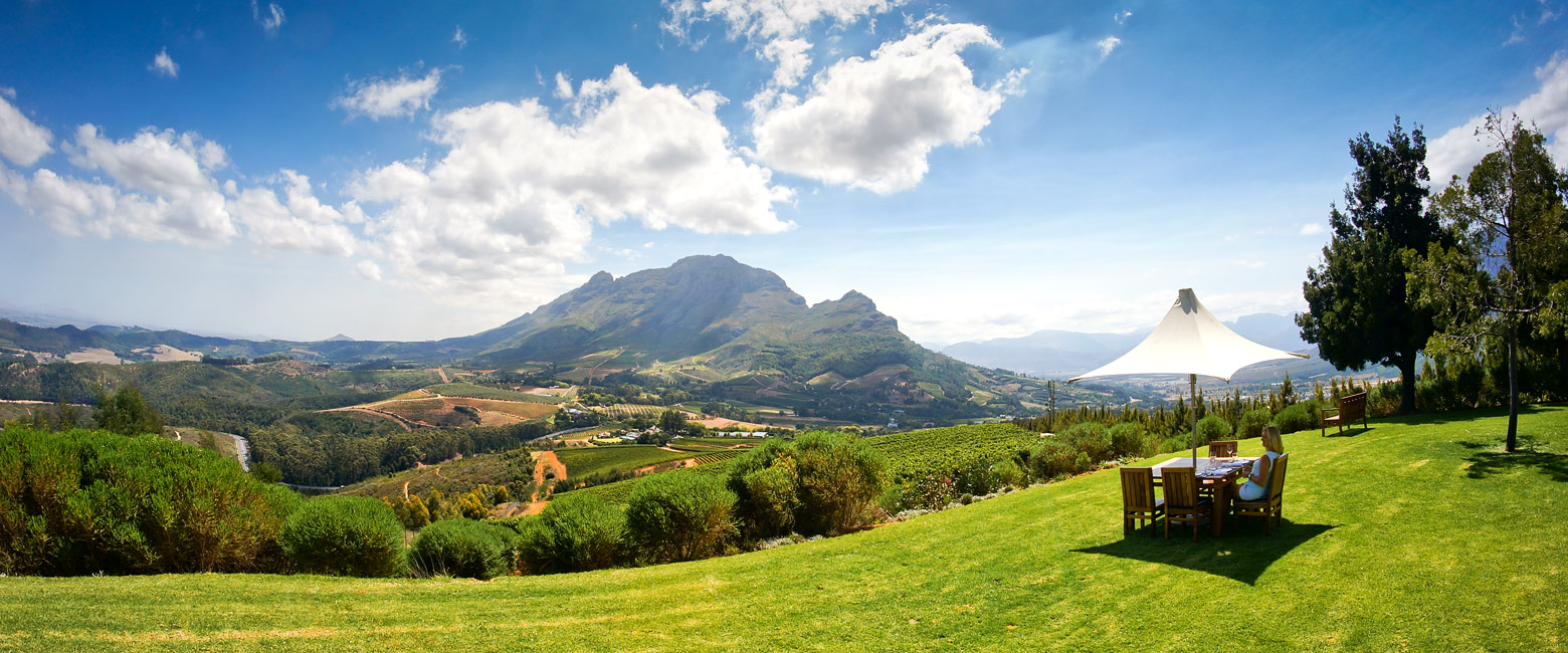 let us know your thoughts about South Africa and we will help you create the perfect safari