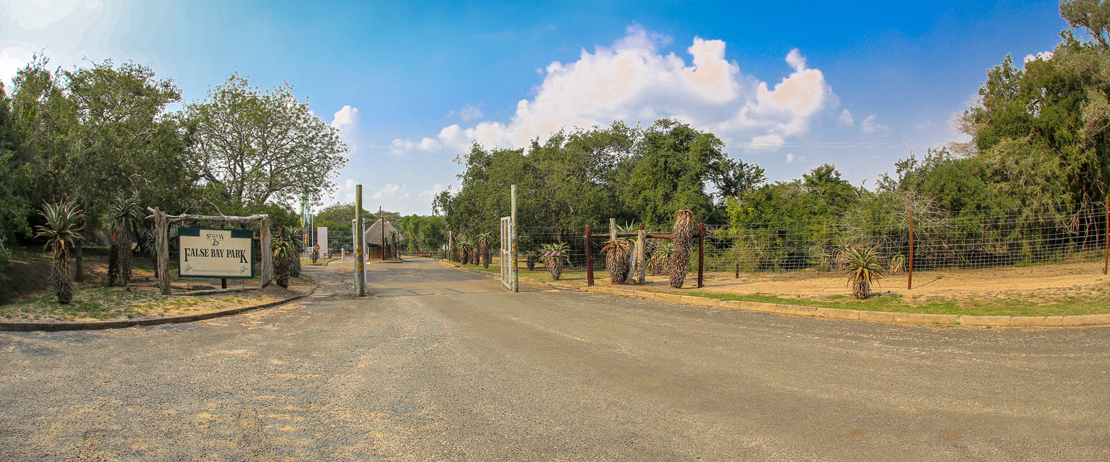 let us know your thoughts about South Africa and we will help you create the perfect safari 