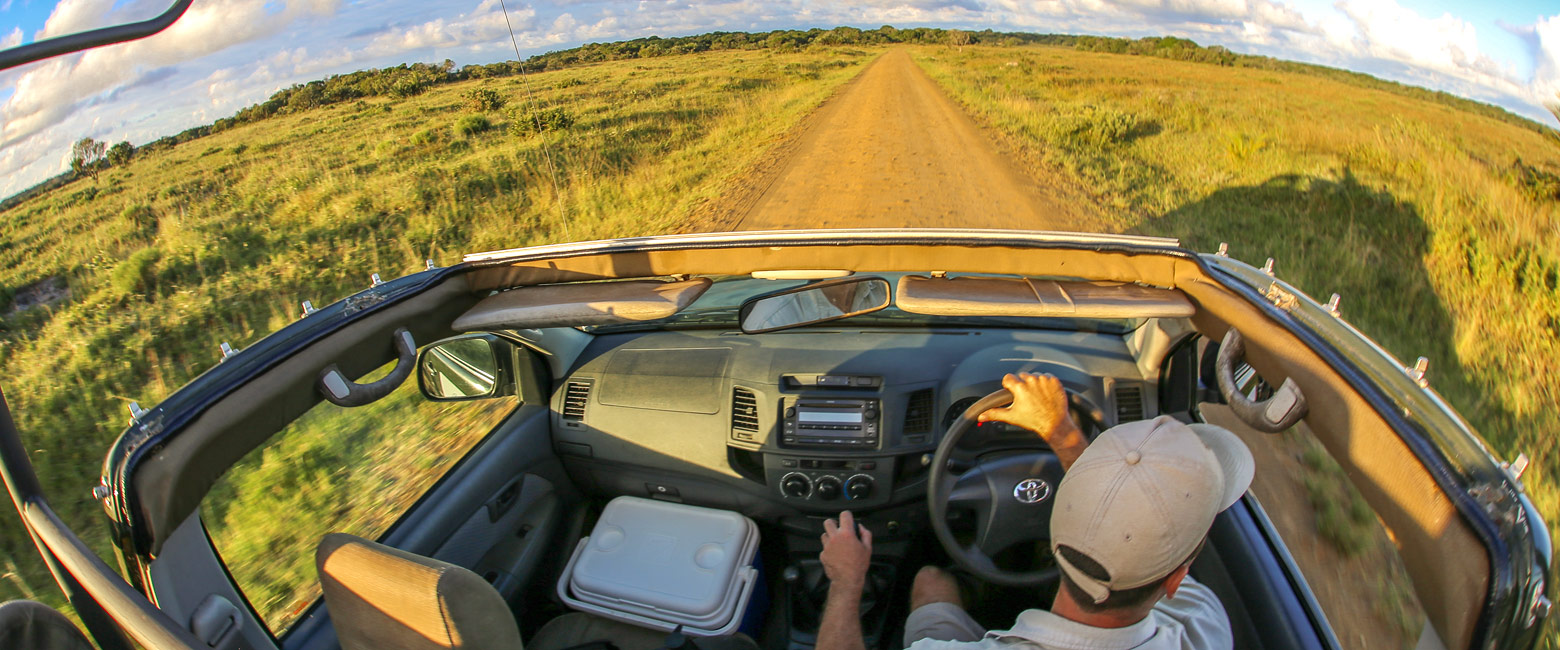 let us know your thoughts about South Africa and we will make sure to deliver the perfect safari
