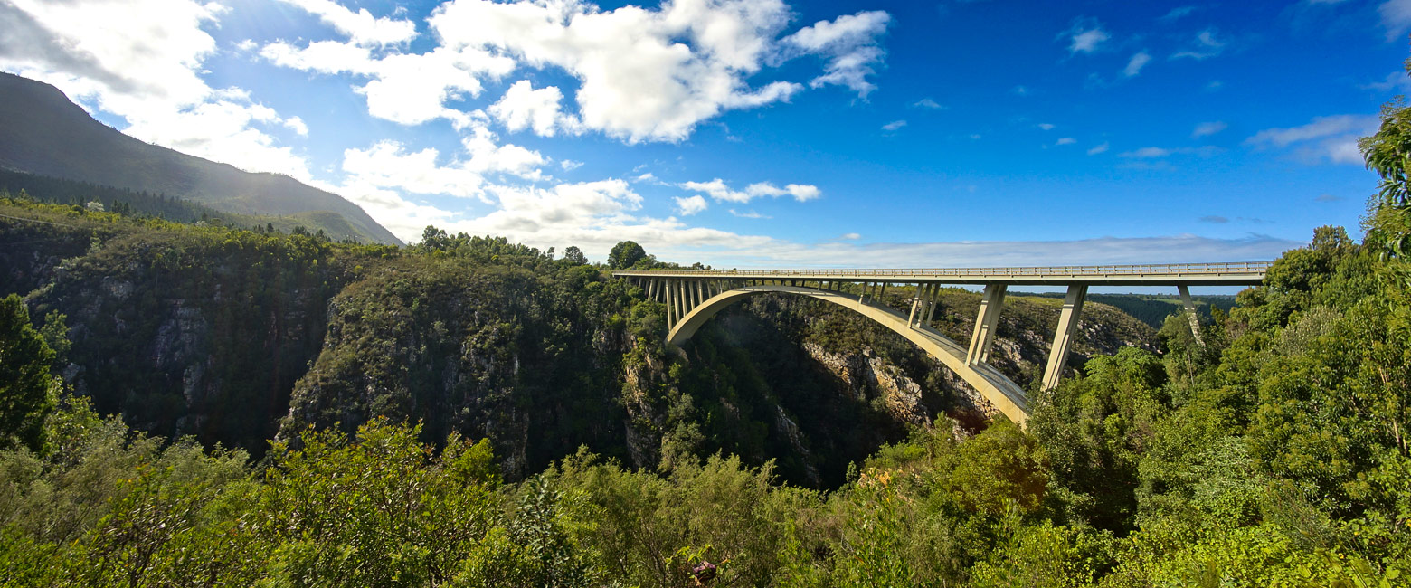 let us know your thoughts about South Africa and we will help you create the perfect safari 