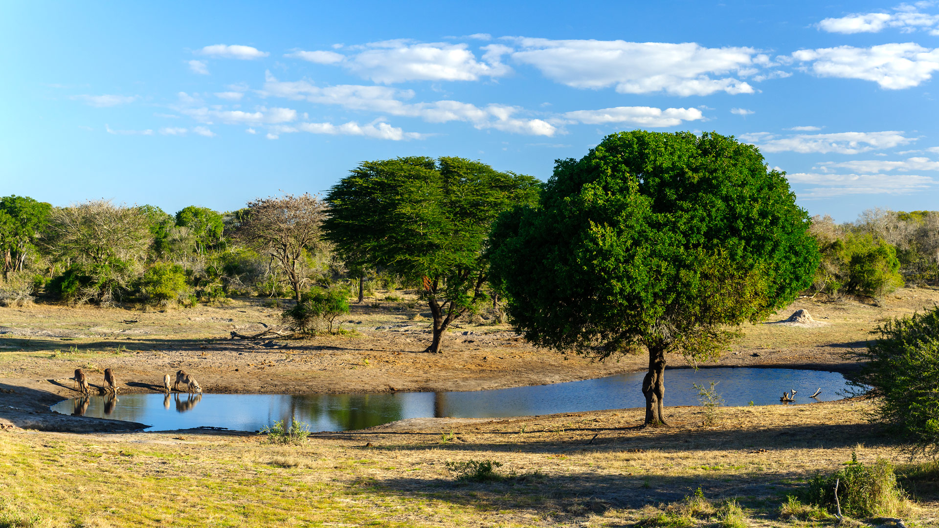 Safari to Tembe