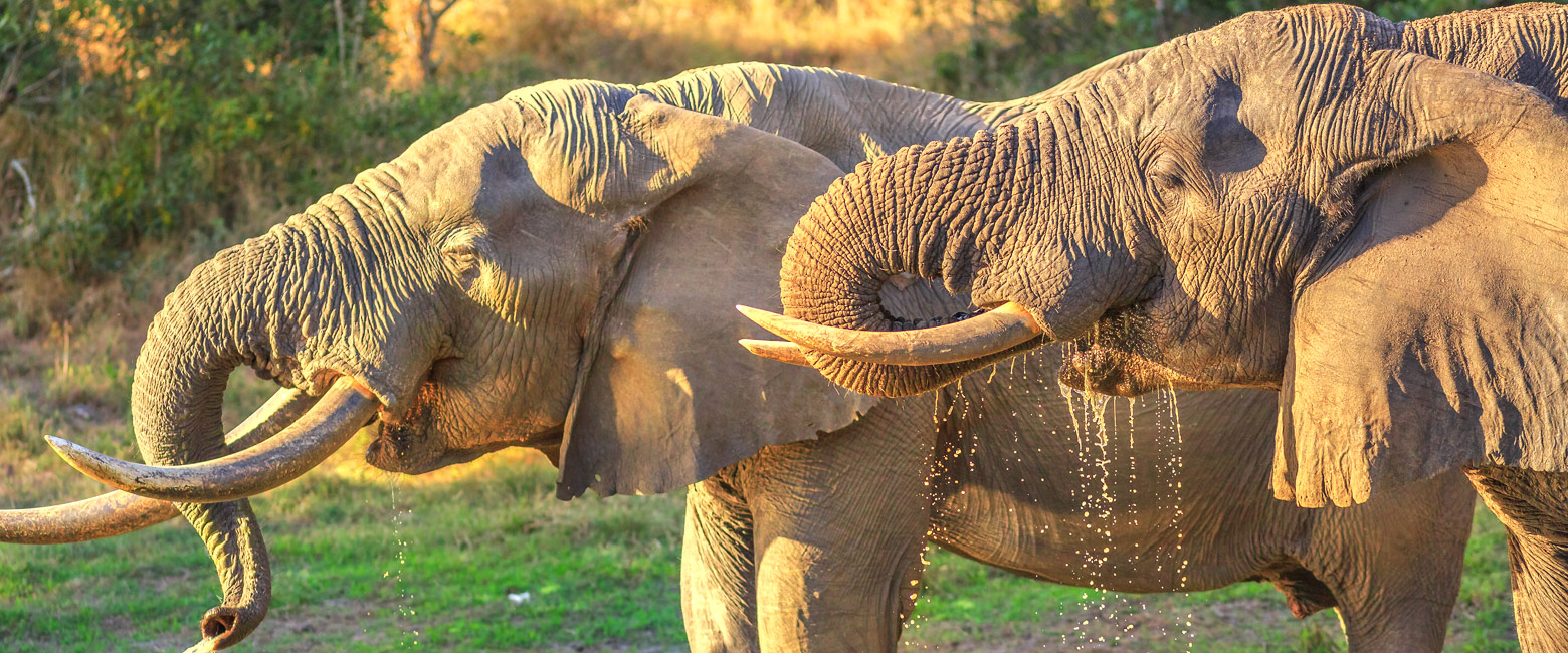 is a small reserve in the northeast of South Africa