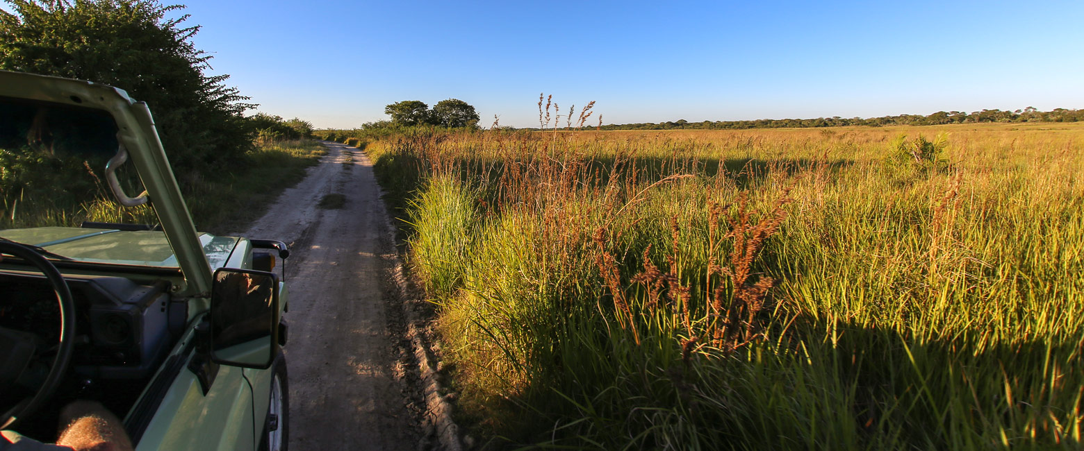 let us know your thoughts about South Africa and we will help you create the perfect safari