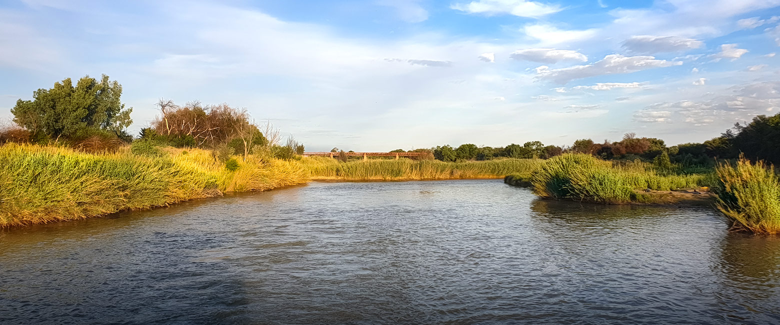 let us know your thoughts about South Africa and we will help you create the perfect safari 