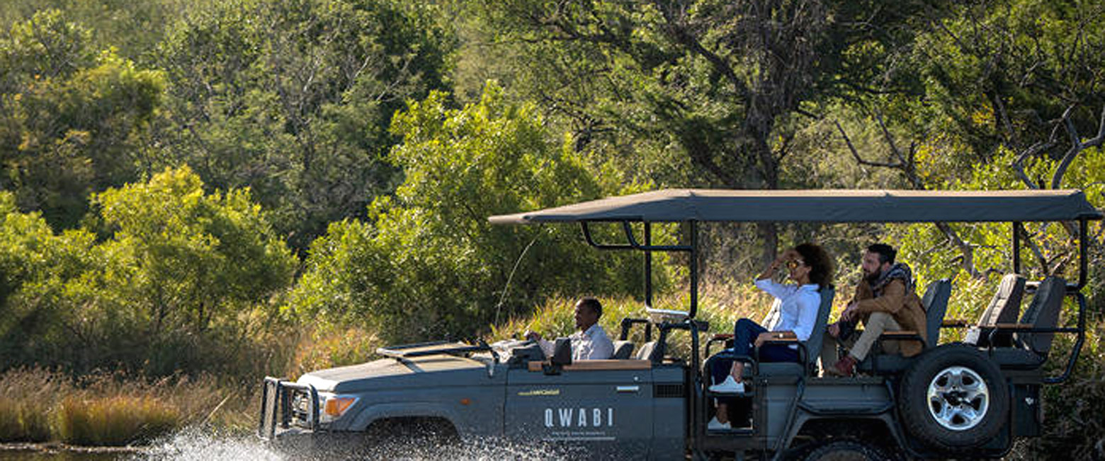 let us know your thoughts about South Africa and we will help you create the perfect safari 