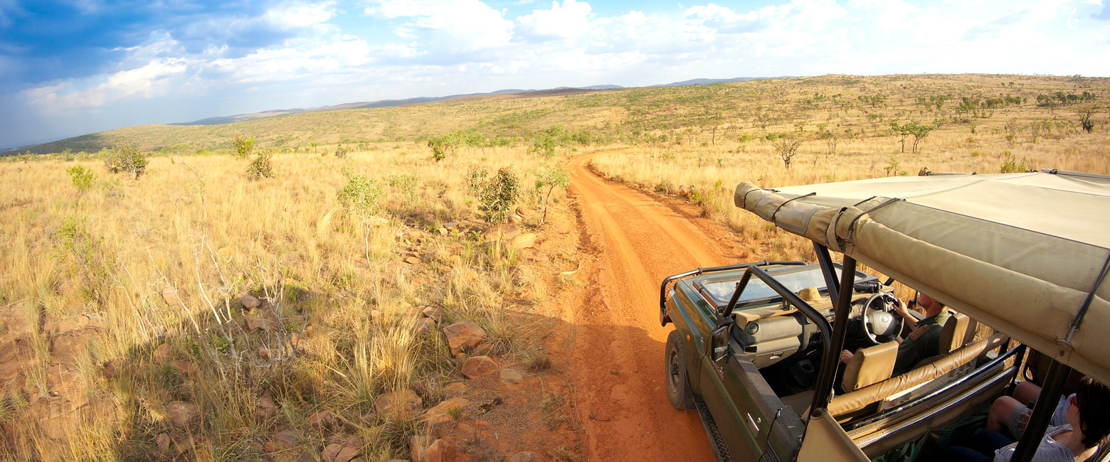 let us know your thoughts about South Africa and we will help you create the perfect safari