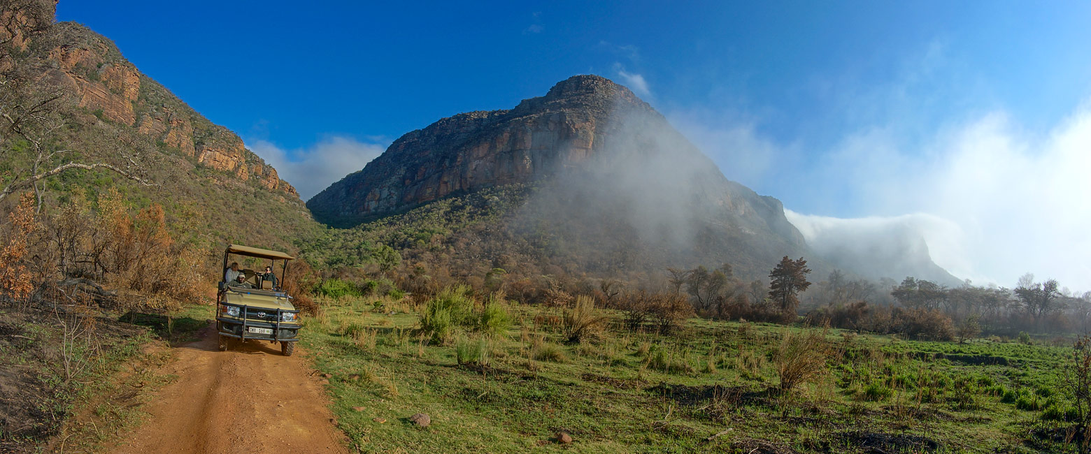 let us know your thoughts about South Africa and we will help you create the perfect safari