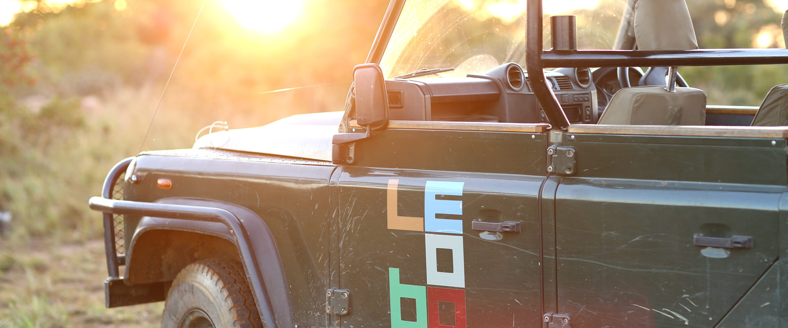let us know your thoughts about South Africa and we will help you create the perfect safari