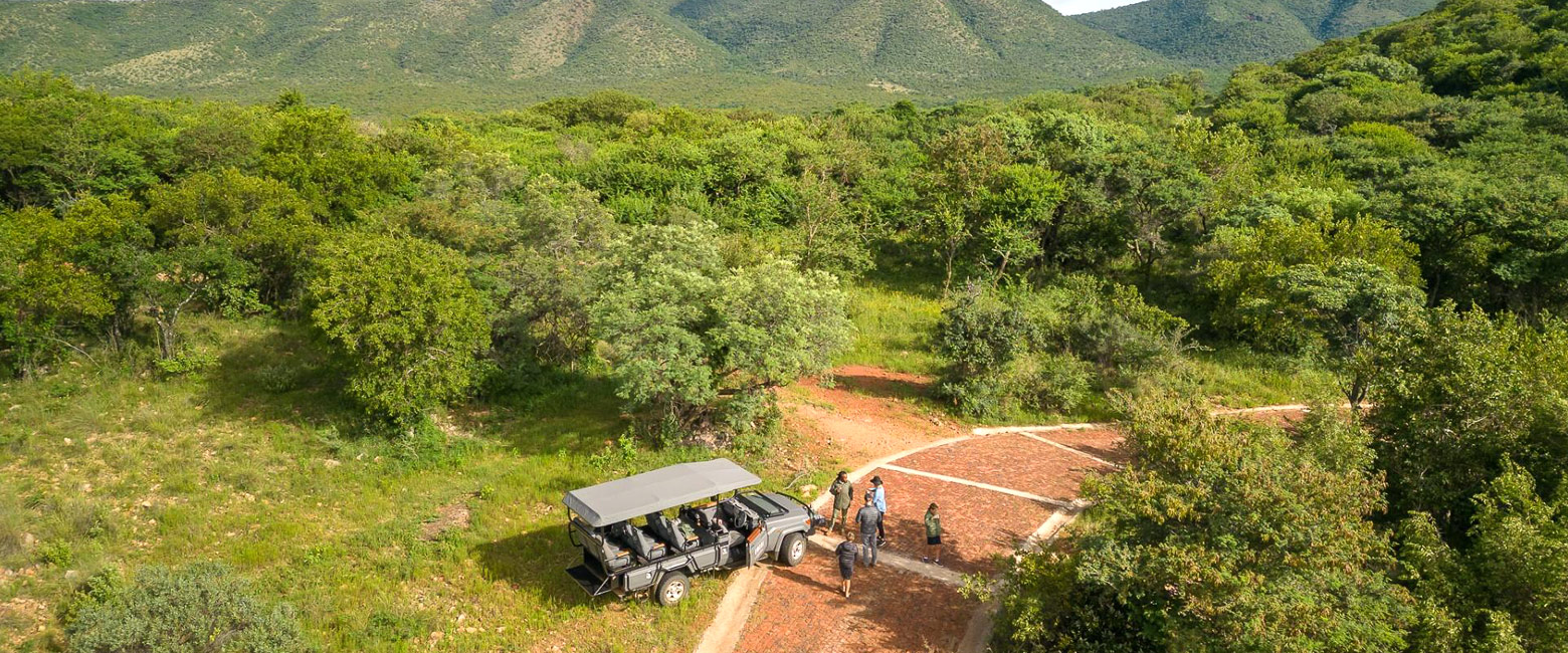 let us know your thoughts about South Africa and we will help you create the perfect safari 