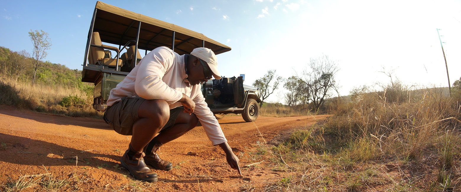 let us know your thoughts about South Africa and we will help you create the perfect safari