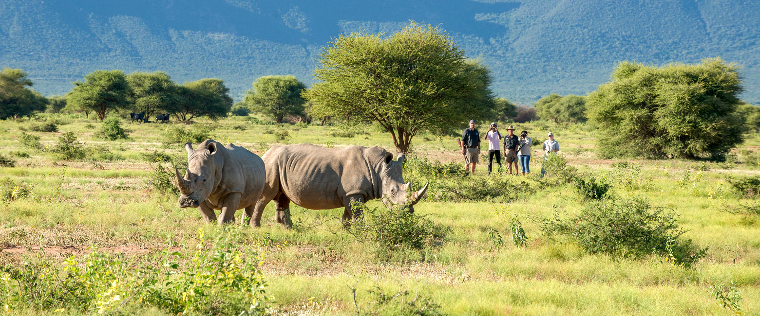 let us know your thoughts about South Africa and we will help you create the perfect safari
