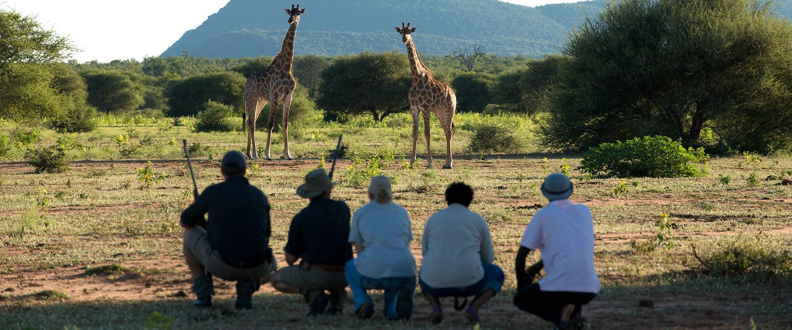 let us know your thoughts about South Africa and we will help you create the perfect safari 