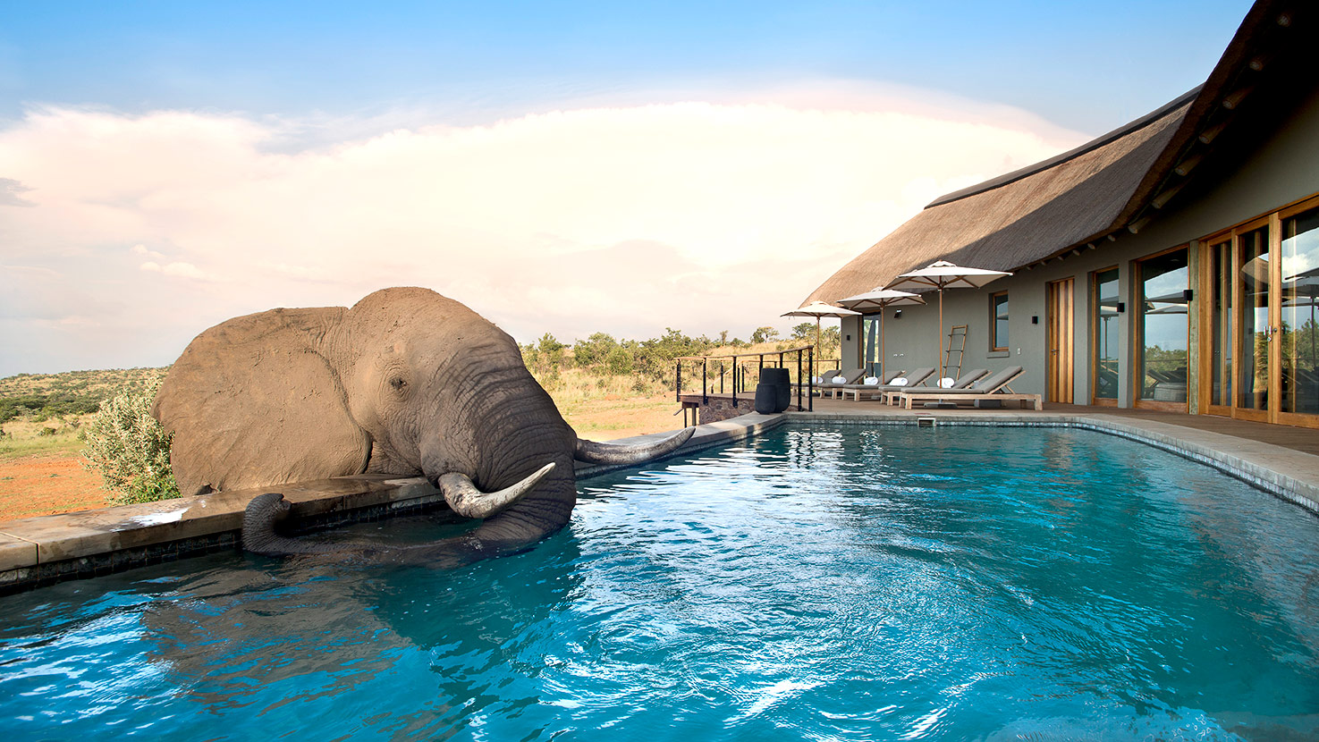 Mhondoro Lodge