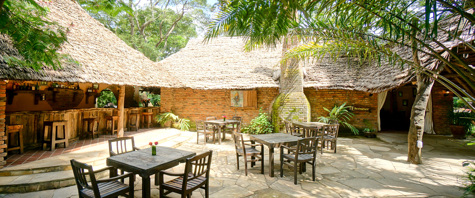 let us know your thoughts about Tanzania and we will help to create the perfect safari