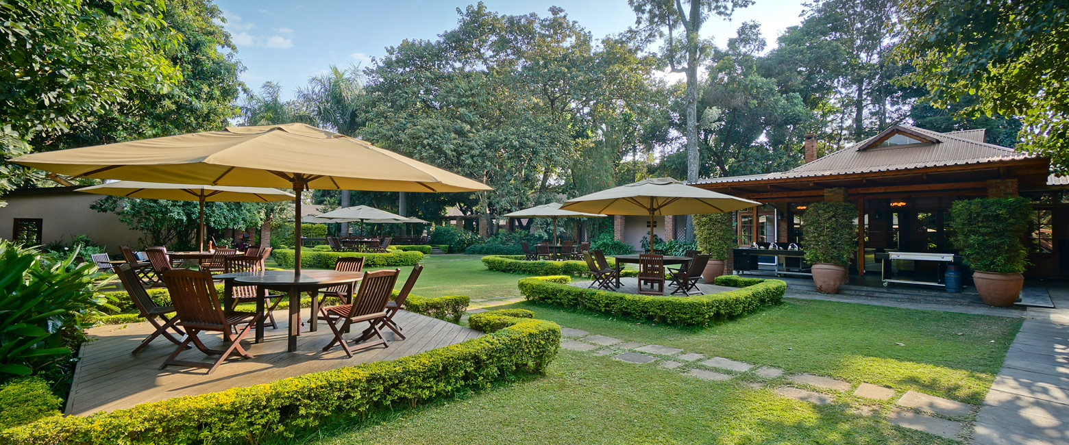 let us know your thoughts about Tanzania and we will help you create the perfect safari