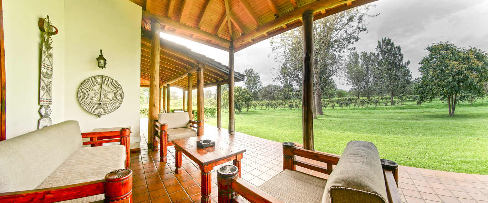 let us know your thoughts about Tanzania and we will help you create the perfect safari