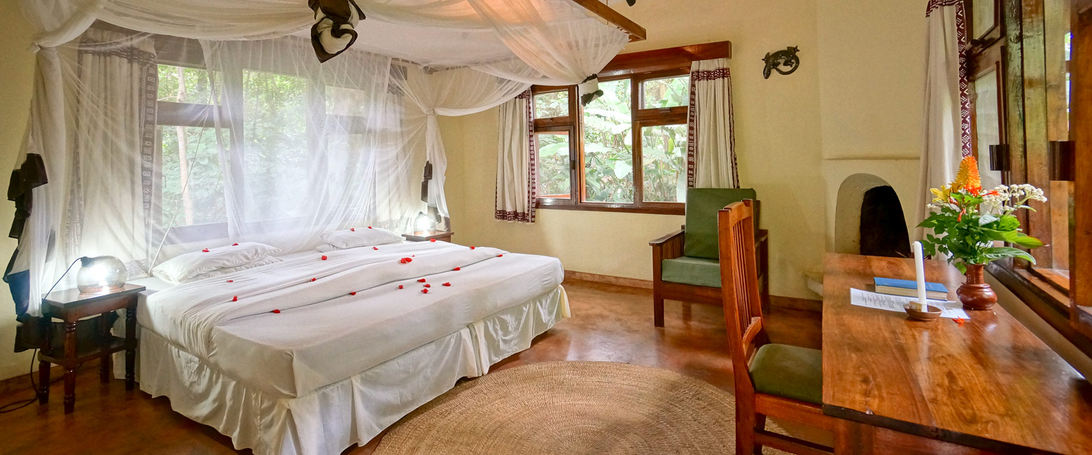 let us know your thoughts about Tanzania and we will make sure to deliver the perfect safari 