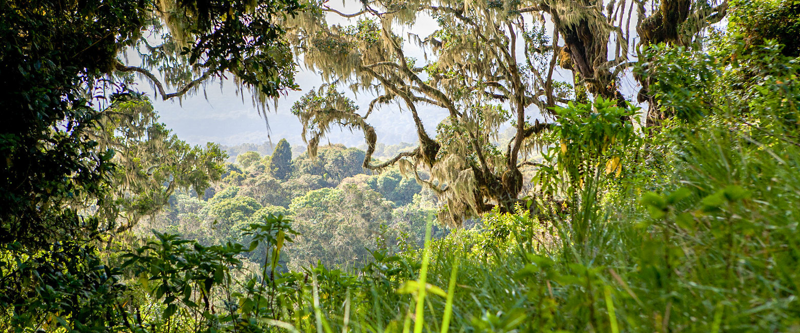 a mountainous reserve with views of Kilimanjaro