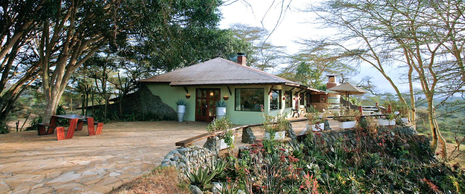 let us know your thoughts about Tanzania and we will help you create the perfect safari