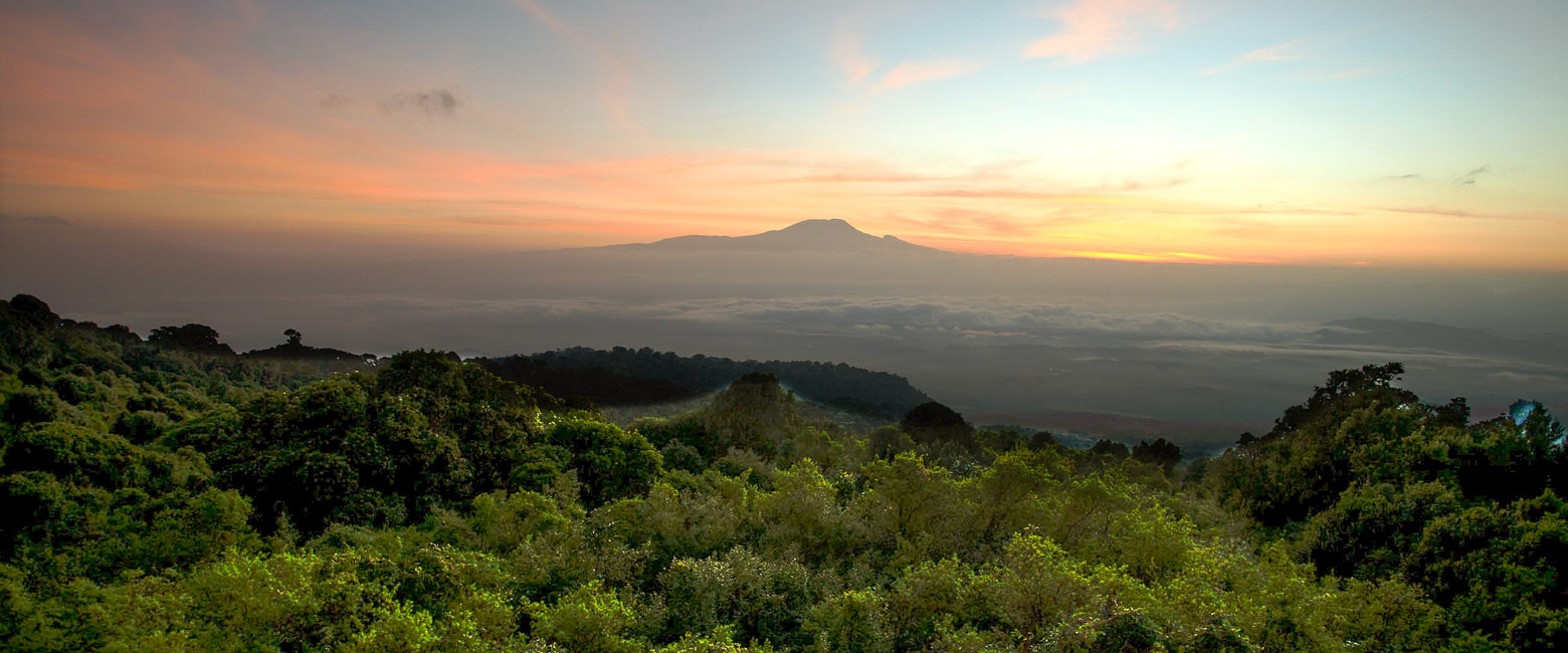 let us know your thoughts about Tanzania and we will help you create the perfect safari